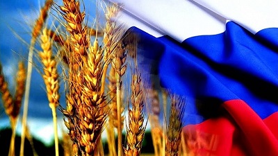 برآورد یک مرکز تحلیلی از افزایش صادرات گندم روسیه