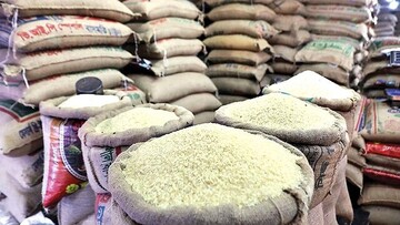 تولید برنج به ۲.۲ میلیون تن می‌رسد