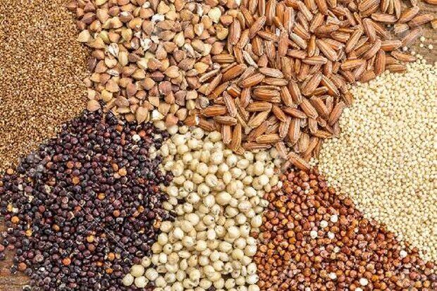  تمدید معافیت نهاده‌های دامی، برنج، روغن و حبوبات از قاعده تقدم ثبت سفارش تا پایان شهریور ۱۴۰۵