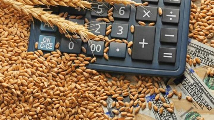 ابلاغ اولویت ارزی واردات گندم دامی