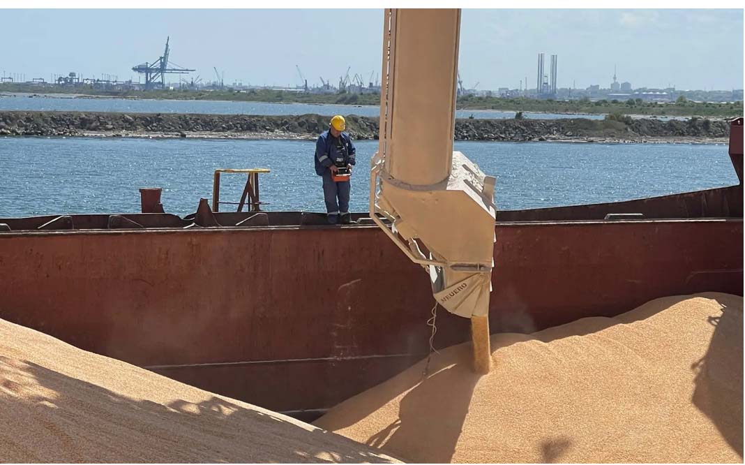  بازتعریف نقش دامپزشکی در واردات کالاهای اساسی با دستور معاون اول