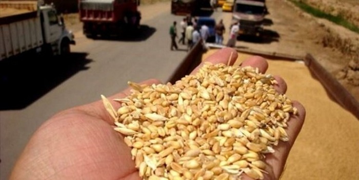 ثبت نادرست انبار، عرضه بدون موجودی و واگذاری غیرقانونی کالای دولتی زیر ذره‌بین بازرسی