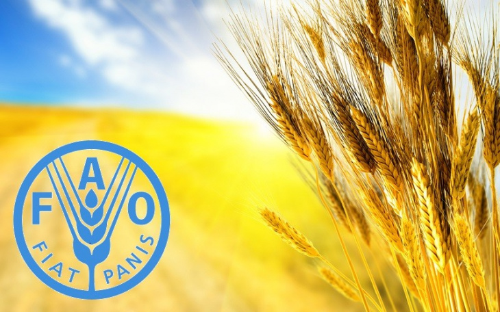 تولید جهانی غلات به اوج تاریخی رسید